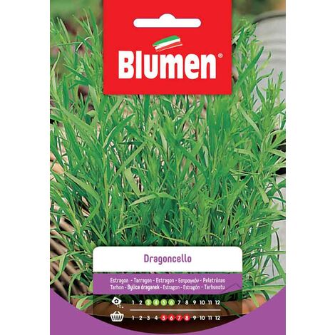 Blumen. Semi di Dragoncello