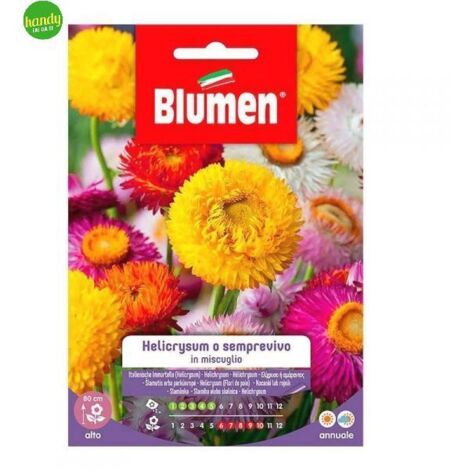 Blumen. Semi di Helicrysum o Semprevivo in miscuglio