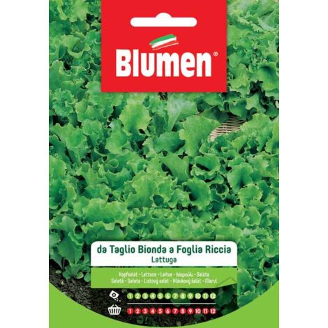 Blumen. Semi di Lattuga da Taglio Bionda a Foglia Liscia