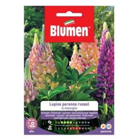 Blumen Semi di Lupino perenne Russel