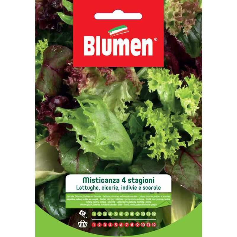 Semi di insalata misticanza 4 stagioni Blumen orto