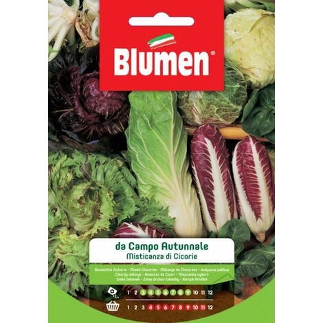 Blumen. Semi di Misticanza di Cicorie da Campo Autunnale
