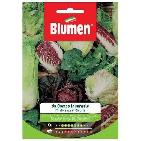 Blumen. Semi di Misticanza di Cicorie da Campo invernale