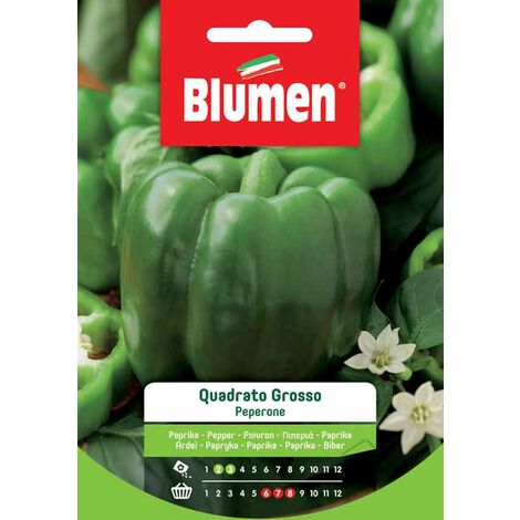 Blumen. Semi di Peperone Grosso Quadrato