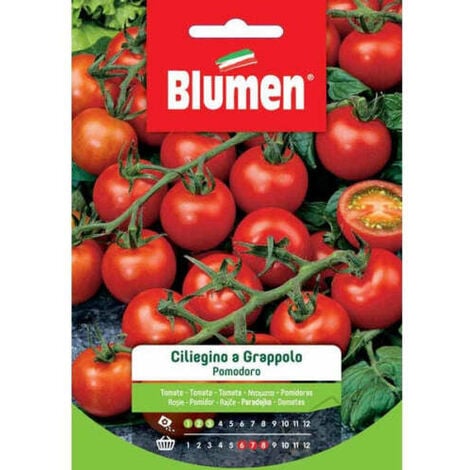 Blumen. Semi di Pomodoro ciliegino a grappolo f.1