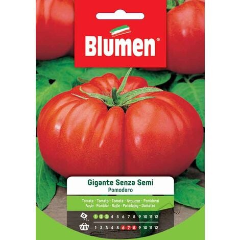 Blumen. Semi di Pomodoro Gigante Senza Semi