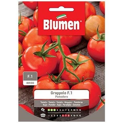 Blumen. Semi di Pomodoro grappolo f.1