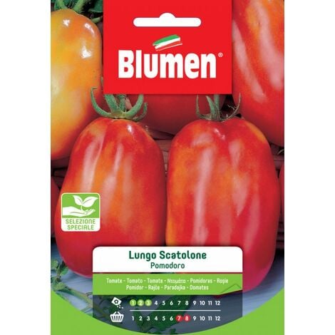 Blumen. Semi di Pomodoro Lungo Scatolone
