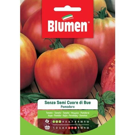 Blumen. Semi di Pomodoro Senza Semi Cuore di Bue
