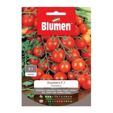 Blumen. Semi di pomodoro zucchero f.1