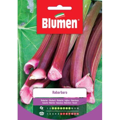 Blumen Semi di Rabarbaro