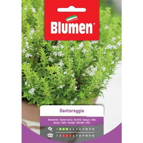 Blumen Semi di Santoreggia