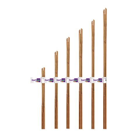 Blumenkarten-Up-Tutor Bambbes Natural, 10-12 mm, 1,50 m, Pack 2 Einheiten