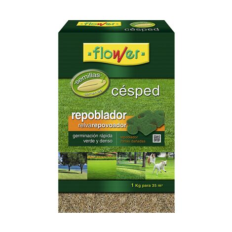 Blumensamen Repopulator dped, 1 kg