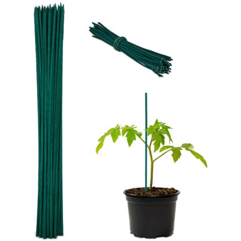 Blumenstabe 30 cm im 50er set