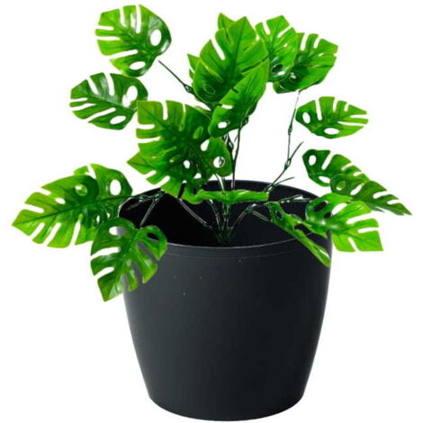 Blumentopf aus Kunststoff 21x18,5cm Schwarzer Dekodeckel Magnolie