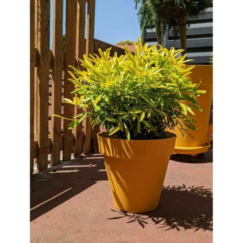 Profit Blumentopf Riviera Gelb Ø 60 Cm
