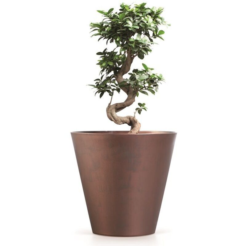 Blumentopf Tubus Corten Dtub200c, Prosperplast Cortenstahl