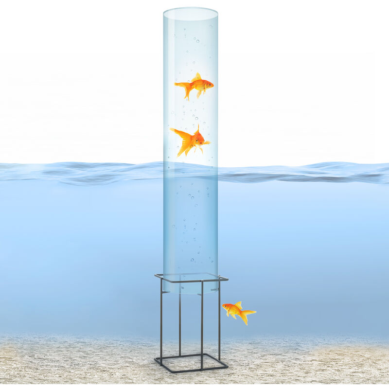 

Skydive 100 Torre para peces 100 cm Ø 20 cm cristal acrílico metal transparente