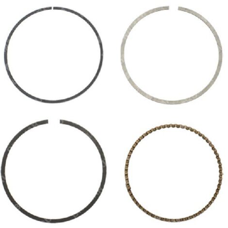 BLX-Segment-Kit – 058984