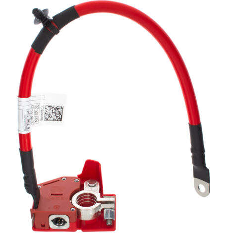 BMW 3 G20 / G21 2018- terminale positivo della batteria