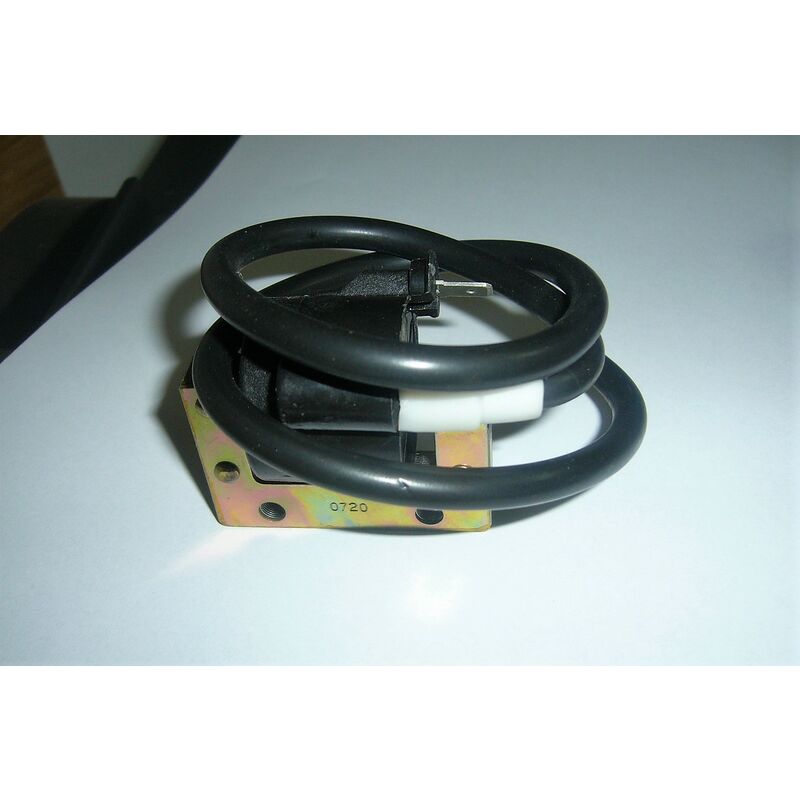 Image of Dela - bobina 6/12 volt con cavo in corrente alternata/continua