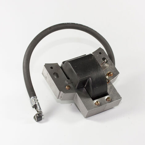 Bobina accensione Briggs&Stratton per motore SHP - 004019