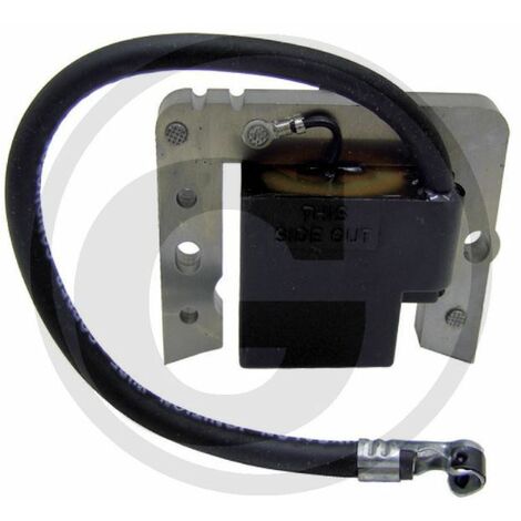 Bobina accensione elettrico rasaerba tagliaerba motore TECUMSEH 2030 055