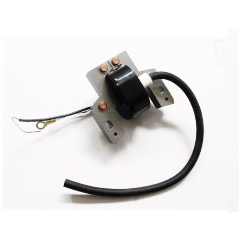 Bobina accensione elettronica compatibile BRIGGS & STRATTON per trattorino 5 HP