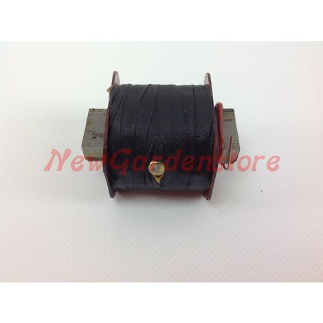 Kit Démarrage électrique Pour Moteurs Ruggerini RF130-RF140 - Marque PRAI, Référence 170037K