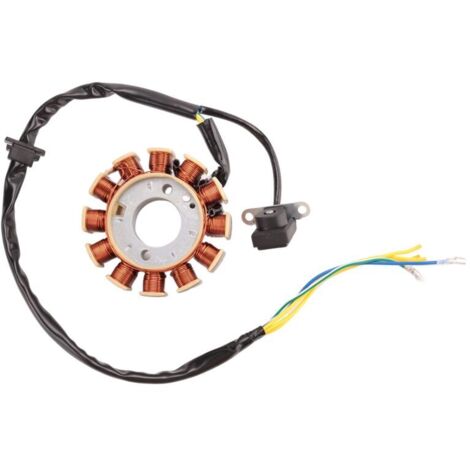 Bobina de encendido de CC de estator de 12 polos para GY6 125cc 150cc