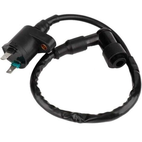 Bobina de encendido para motocicleta, bobina de encendido para motor ABS apta para motores de 50 cc, 150 cc y 250 cc (GY6125). Otros repuestos para automóviles.