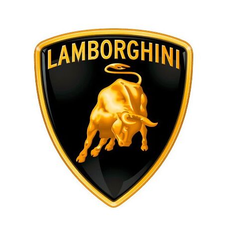 Bobina di accensione decespugliatore compatibile LAMBORGHINI 1P64F