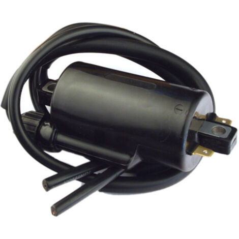 Bobina di accensione per KZ1000 KZ1100 KZ1300 KZ500 KZ550 KZ650 KZ750 Z400 CB1000C CB1100F CB650 CB650C