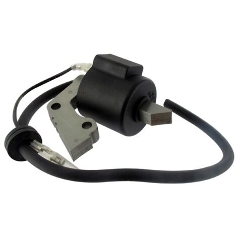 Bobine Adaptable Pour Moteurs Robin Modèles Ey15.