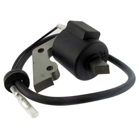 Bobine Adaptable Pour Moteurs Robin Modèles Ey20d.