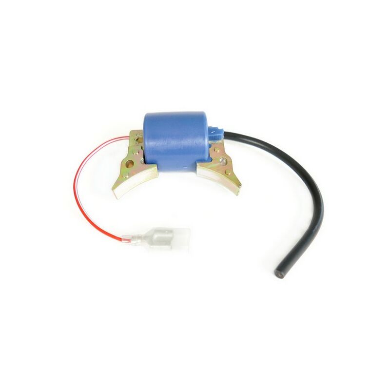 Shindaiwa - Bobine allumage débroussailleuse Iseki DYB251