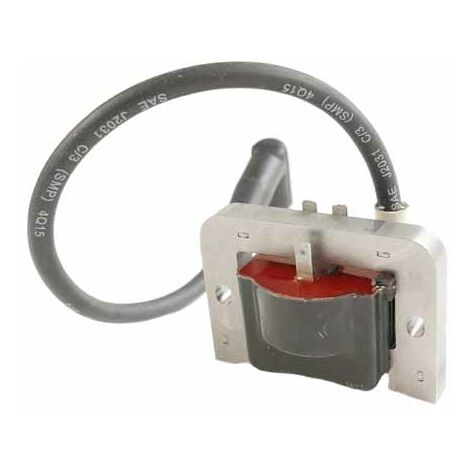Bobine allumage moteur Kohler - 2058403