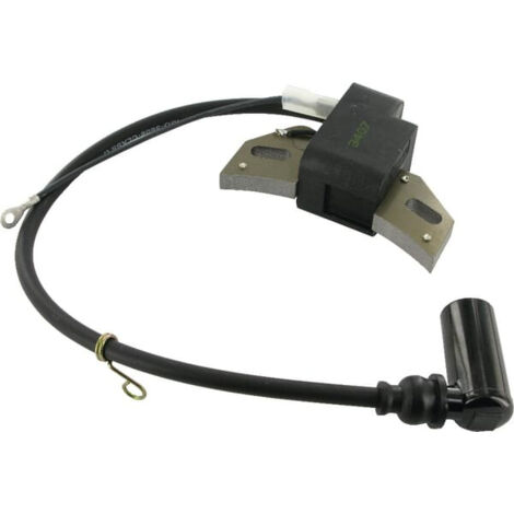 Bobine allumage moteur Lombardini - 1567212