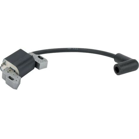 Bobine allumage moteur tondeuse Briggs et Stratton 595009