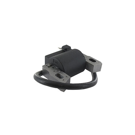 Bobine D'allumage Adaptable Pour Moteurs Briggs & Stratton. Remplace Origine 793449, 796499.