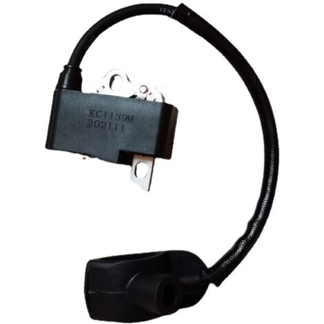 Bobine d'allumage BR430, BR350, BR450, allumeur, pièce compatible de haute qualité numéro 4244 400 1307, accessoires de système d'allumage automobile.