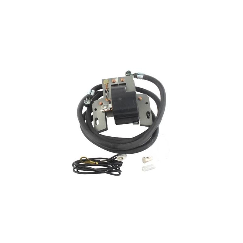 Bobine Allumage Briggs Et Stratton (392329, 394891)