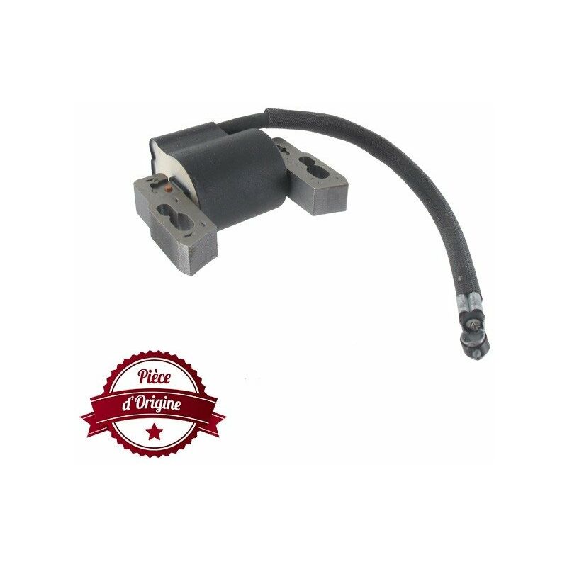 Bobine d'allumage BRIGGS ET STRATTON 592445