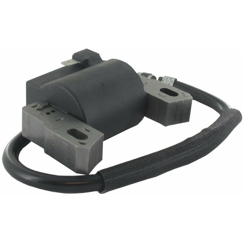 Bobine d'allumage BRIGGS ET STRATTON 593872 - 798534
