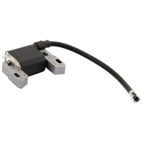 Bobine d'allumage BRIGGS ET STRATTON 593872