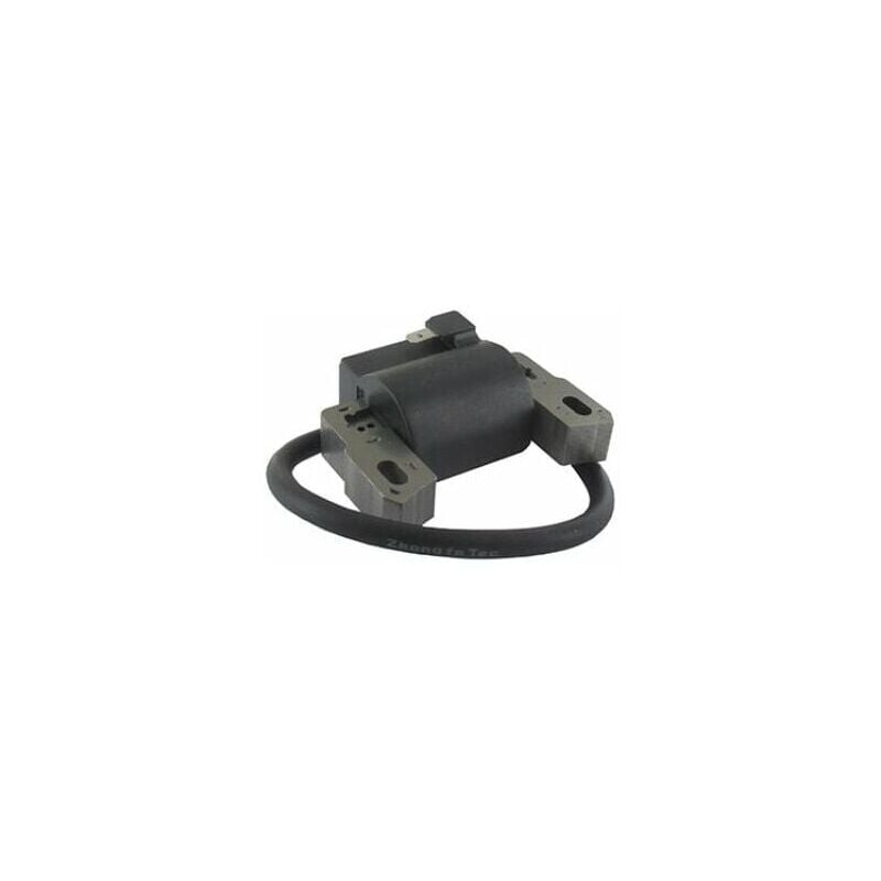 Bobine d'allumage briggs et stratton 802574 - 492416 - 493237 - 695711 - 796964