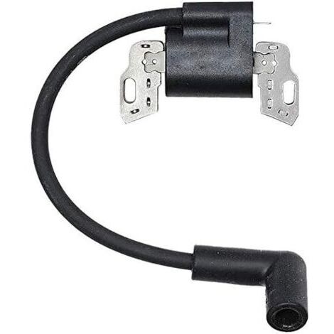 Bobine d'allumage Compatible avec 593872 799582 798534 - Ignition Coil Compatible with 593872 799582 798534 Briggs&Stratton H