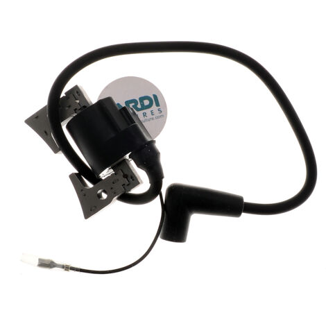 Bobine d'allumage compatible avec Robin remplace 234-70124-21