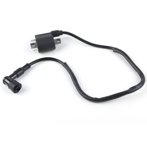 Bobine d'allumage de moto à 2 broches pour CBF125 CBR125 CR125 CR250